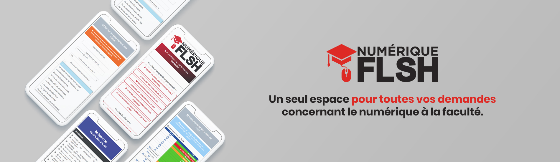 Numérique FLSH