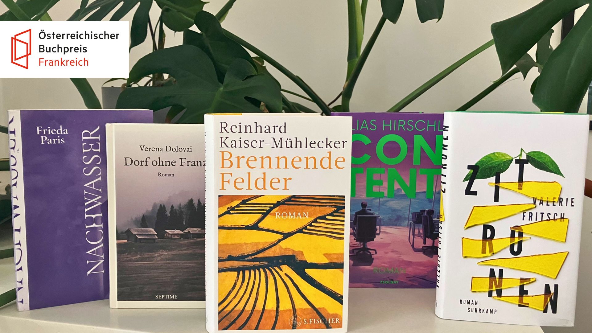 Cérémonie de remise du Prix du livre autrichien France 2025